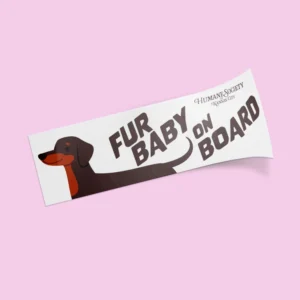 Custom Bumper Stickers